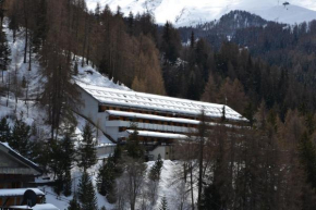 Residence Edelweiss Ciel Blu Gressan